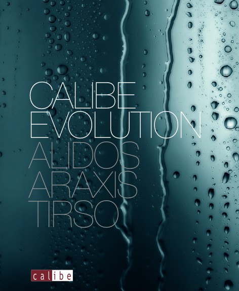 Calibe - Catalogue Evolution