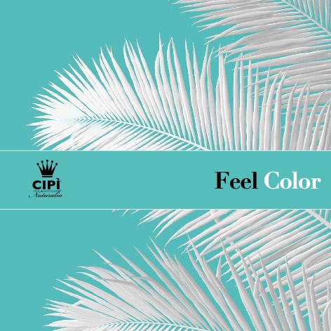 Cipì - Catalogo Feel Color