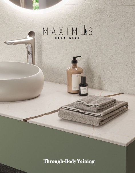 Rak Ceramics - Catalogue Through body veining