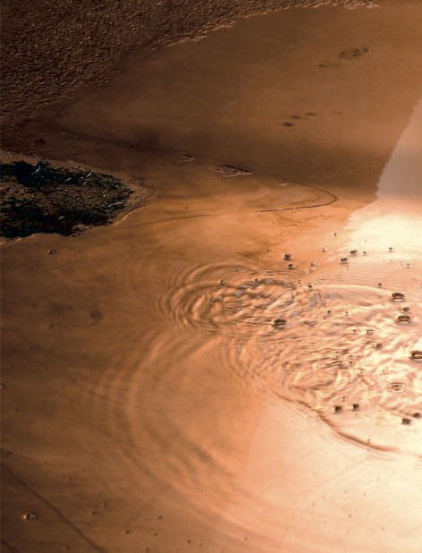 Dornbracht - Katalog Elemental Spa