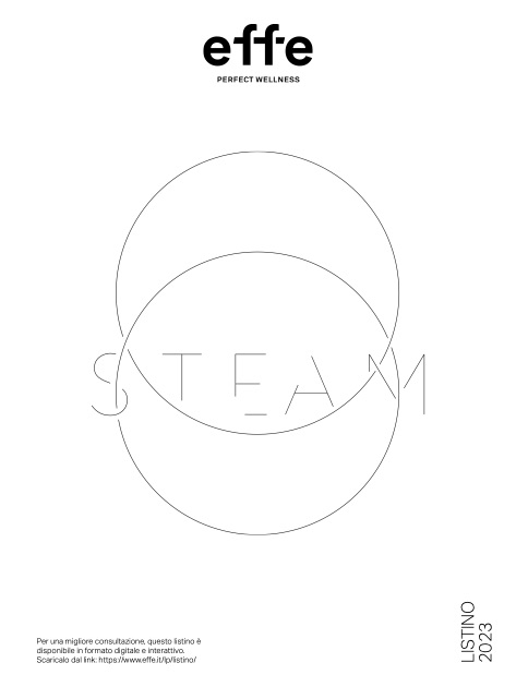 Effe - Preisliste Steam | 2023