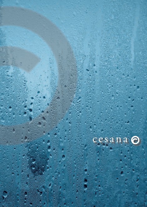 Cesana - 目录 2019
