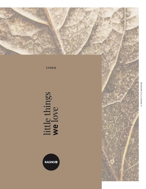 Ragno - Catalogo Storie