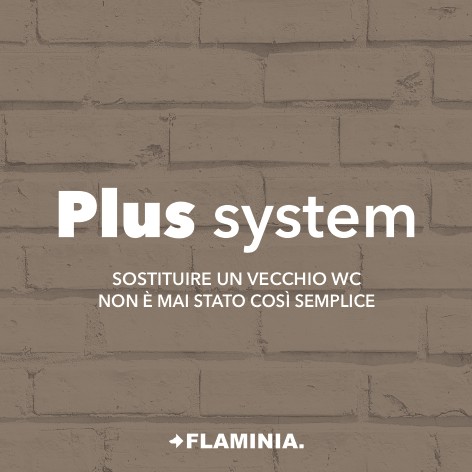 Plus system - Jan 2017