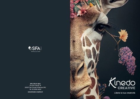 Kinedo - Katalog Creative