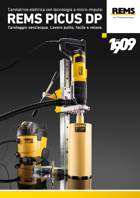 Rems - Catalogue Picus DP